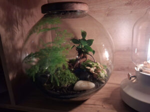 Mitt liv i Wrocław, kapitel 026 – Rok Zmian