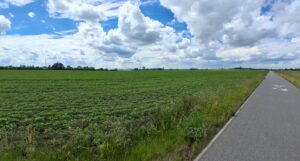 Mitt liv i Wrocław, kapitel 032 – vågade skär